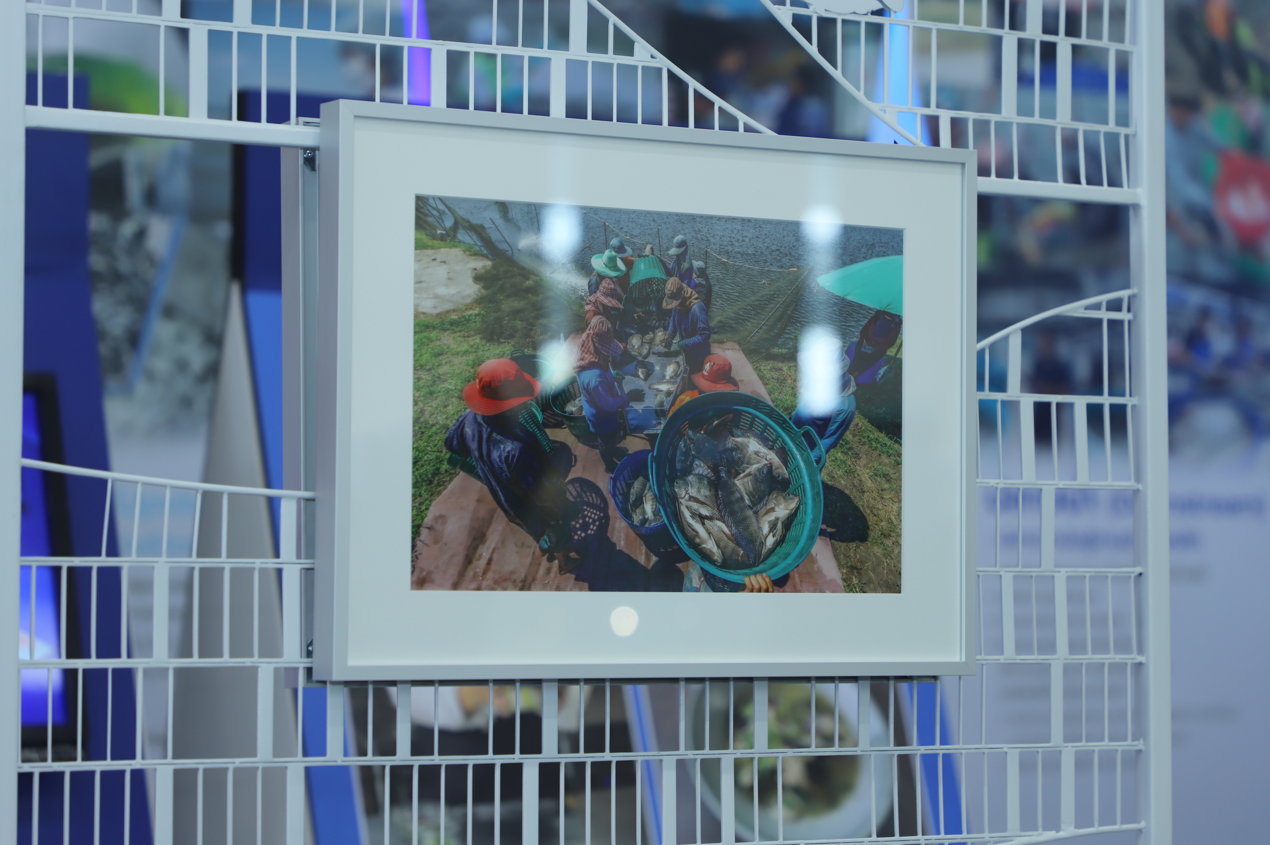 title - เลขาฯ ส.ป.ก. เฝ้ารับเสด็จ สมเด็จพระกนิษฐาธิราชเจ้า กรมสมเด็จพระเทพรัตนราชสุดาฯ สยามบรมราชกุมารี ทรงเป็นองค์ประธานเปิดงาน 60 ปี ปลานิลพระราชทาน เพื่อปวงชนชาวไทย